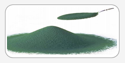 Chlorella Alge